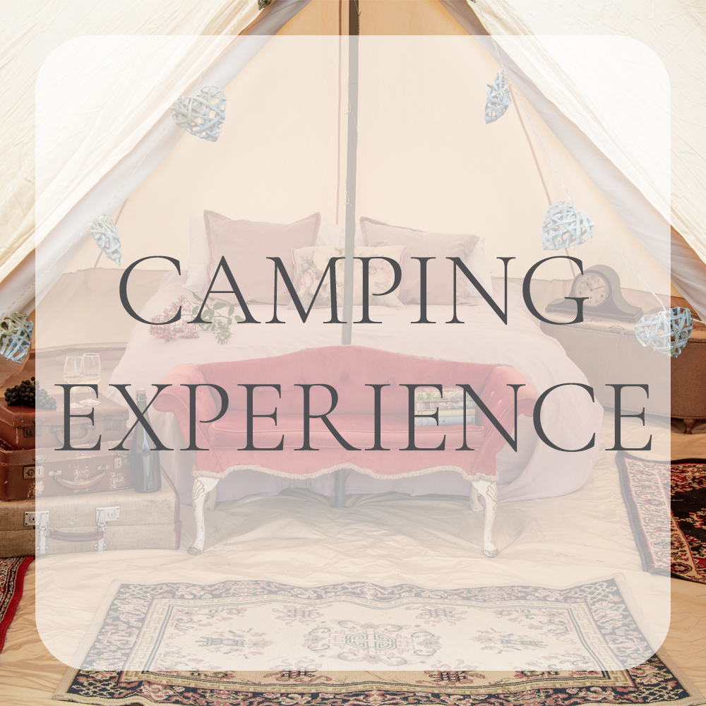 Camping Experiences